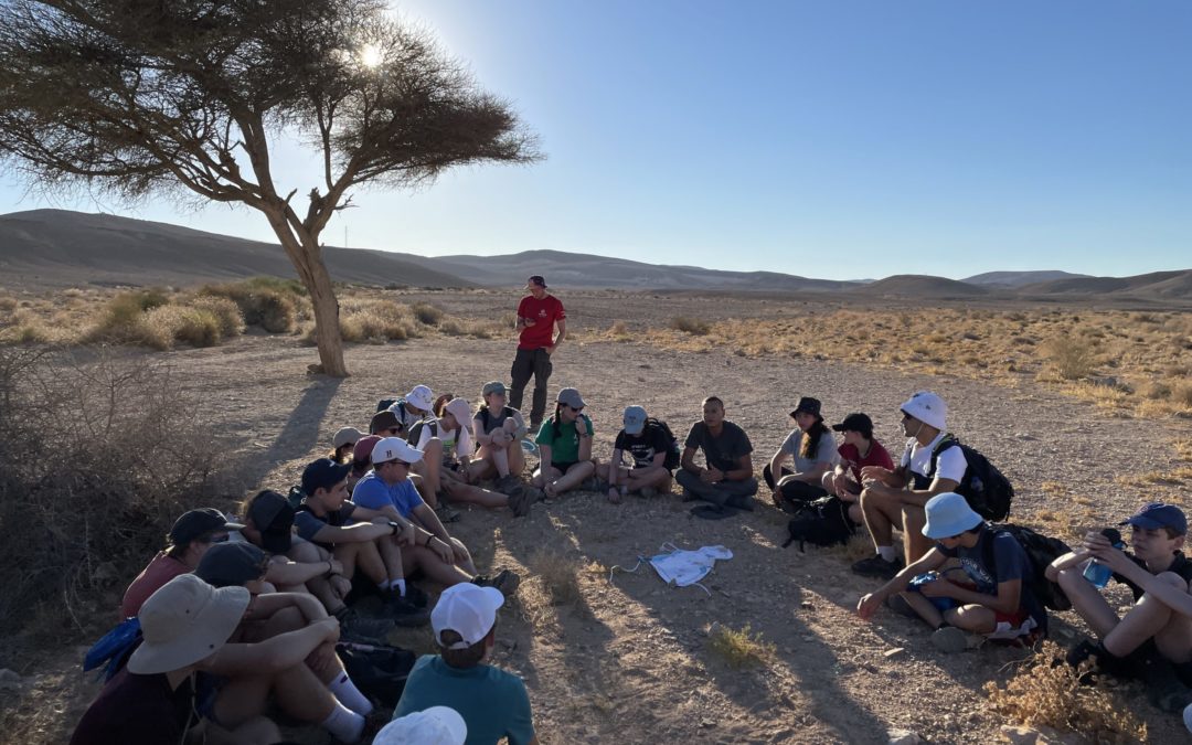Welcome to the Negev, Bus 8!