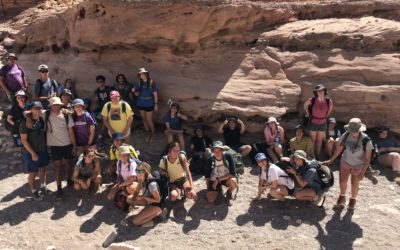 The Negev Journey with Bus 16